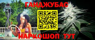 гидра Камышлов