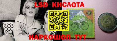 гидра Камышлов