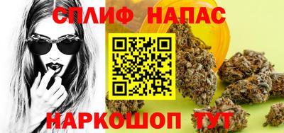 стафф Кандалакша