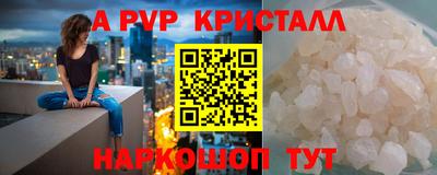 стаф Кингисепп