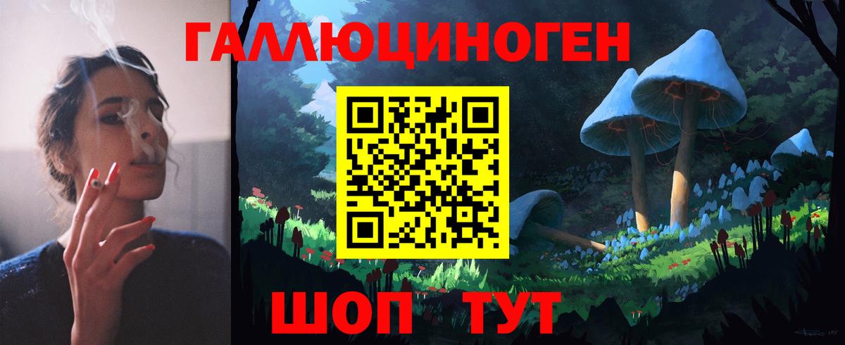 Лениногорск  Галлюциногенные грибы Psilocybine cubensis  Псилоцибиновые грибы Psilocybe  Вход с VPN 